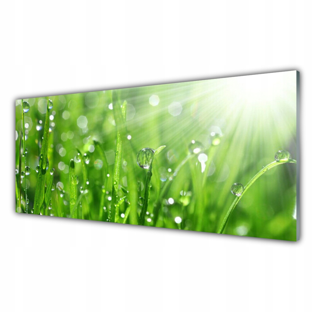 

Fotoobraz akryl ścienny 125x50 Natura Trawa Krople