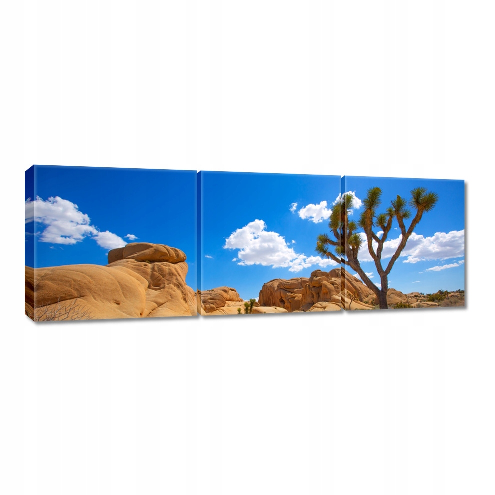 

Obrazy 120x40 Kaktus na pustyni