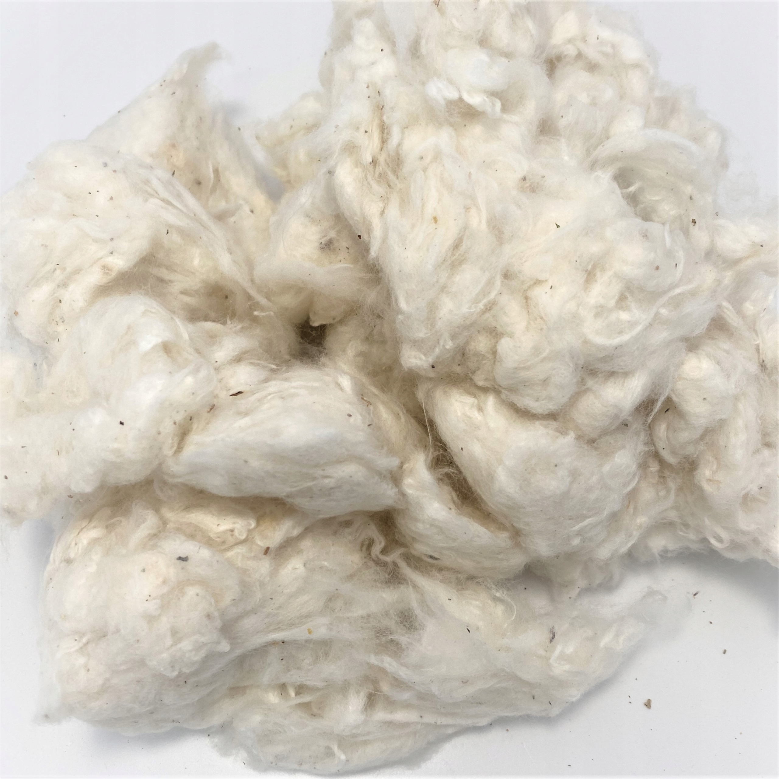 Kołdra całoroczna 140x200 Ecotton Bawełna Bio Eco Marka Poldaun