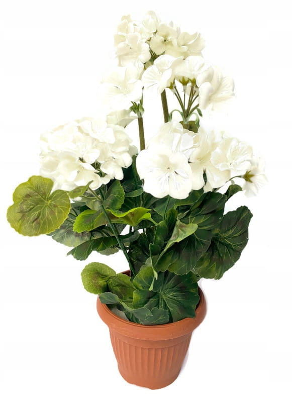

Doniczka Pelargonia Bukiet Ozdoba kwiat sztuczny