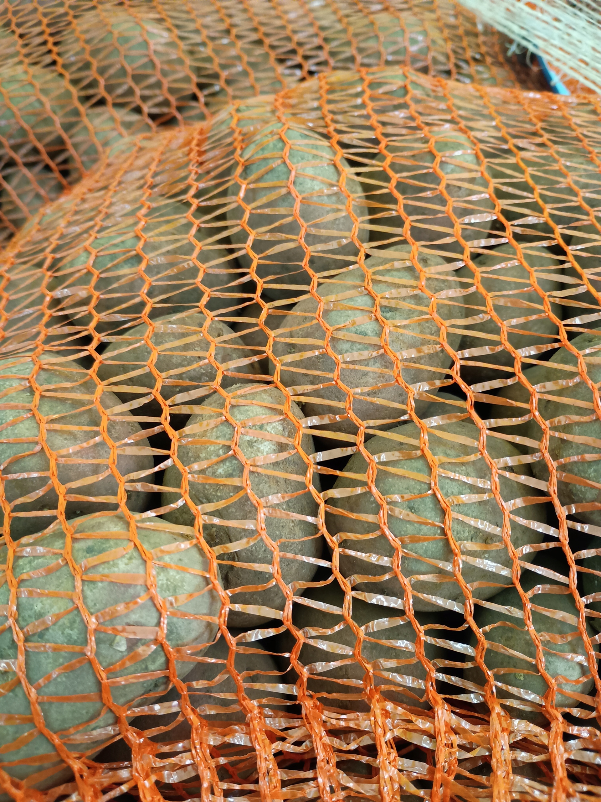 ZIEMNIAKI SADZENIAKI KWALIFIKOWANE MIA 5kg KLASA B PASZPORT