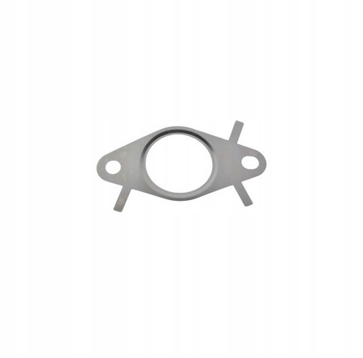 Uszczelka zaworu EGR Iveco Daily 5801923077