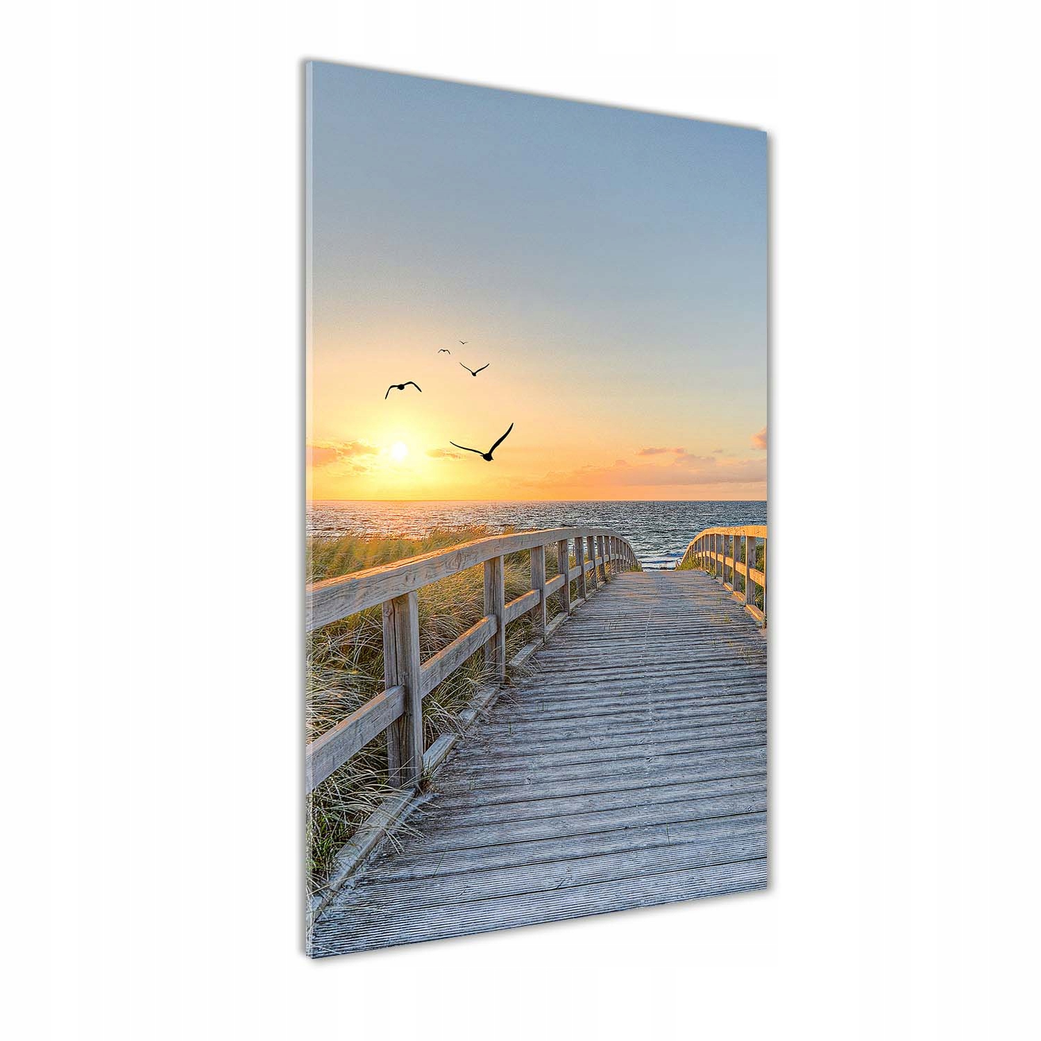 

Foto obraz szkło akrylowe Ścieżka na plażę 70x140