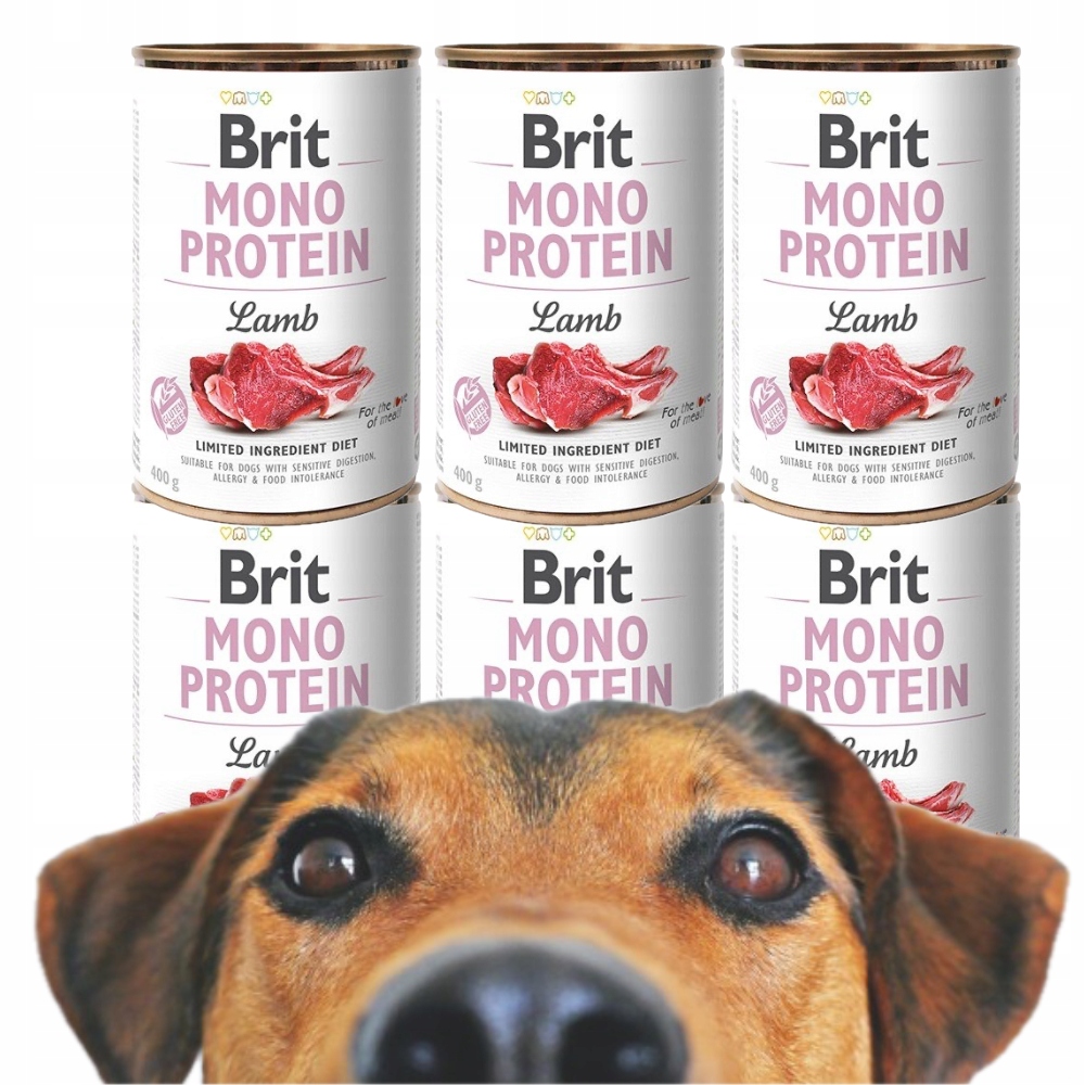 Brit Vlhké Krmivo Care Mono Protein Lamb 6 Ks *400g