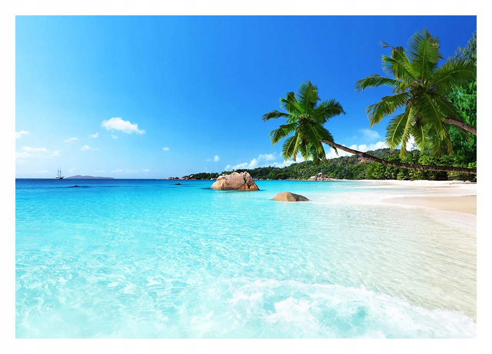 

Fototapeta 3D morze plaża palmy 312x219 F00175