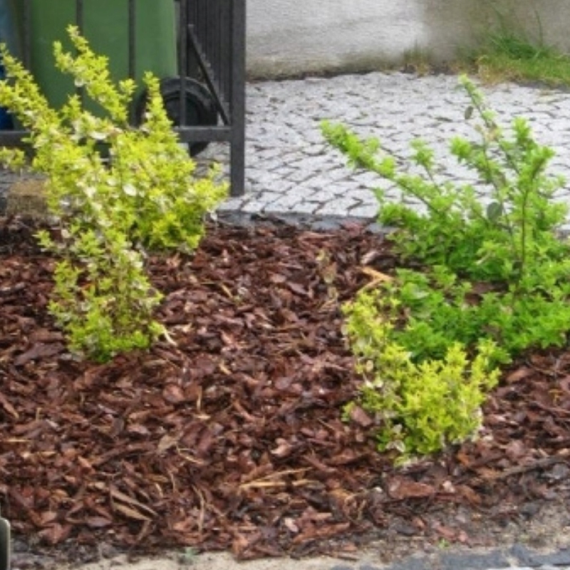 KORA SOSNOWA OGRODOWA GRUBA TORF DO ŚCIÓŁKOWANIA NAJLEPSZA JAKOŚĆ 80L Marka Kortrans