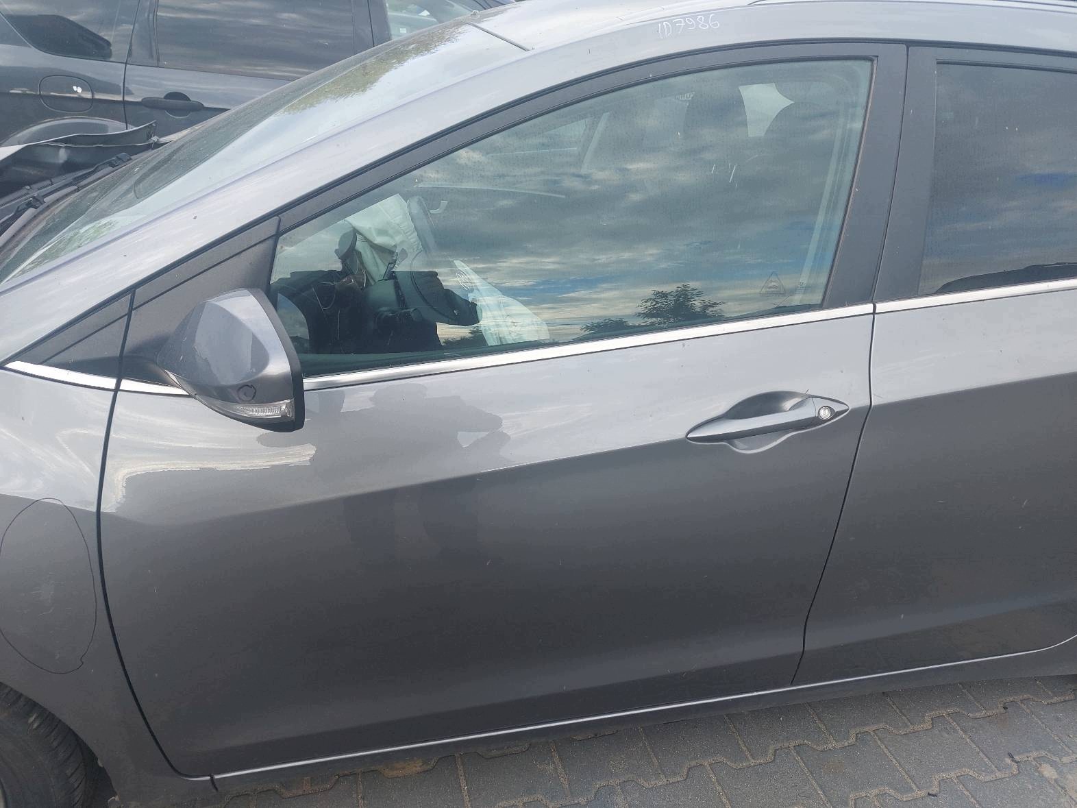 door complete left front + mirror HYUNDAI I30 II ZAR