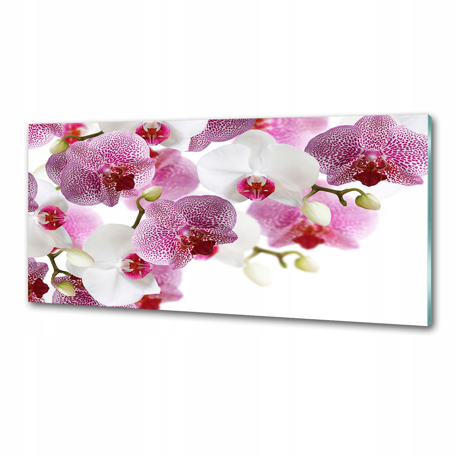 Panel medzi nábytkom v kuchyni Orchidea 125x50 Lepidlo