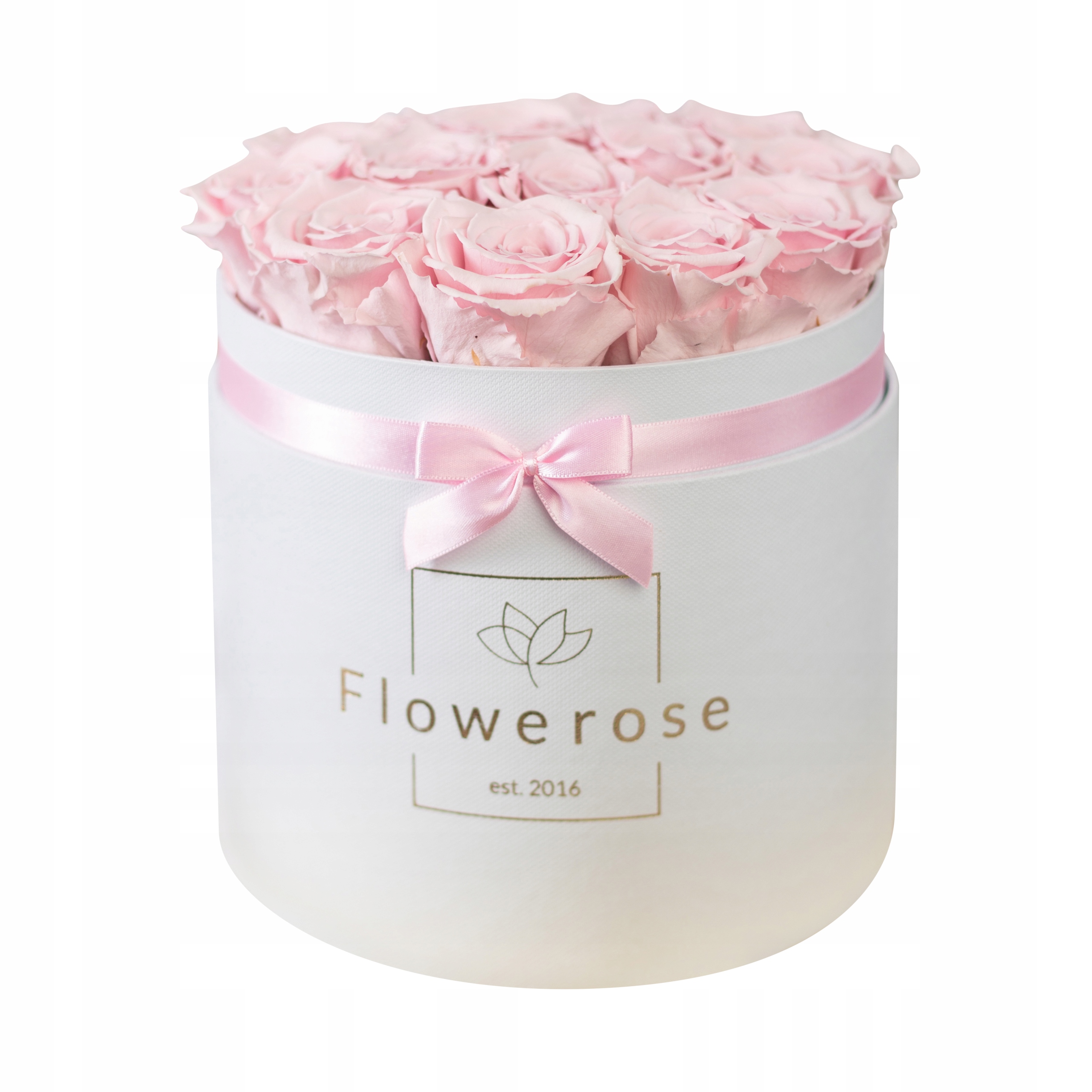 

Różowe wieczne róże biały flowerbox Classic L