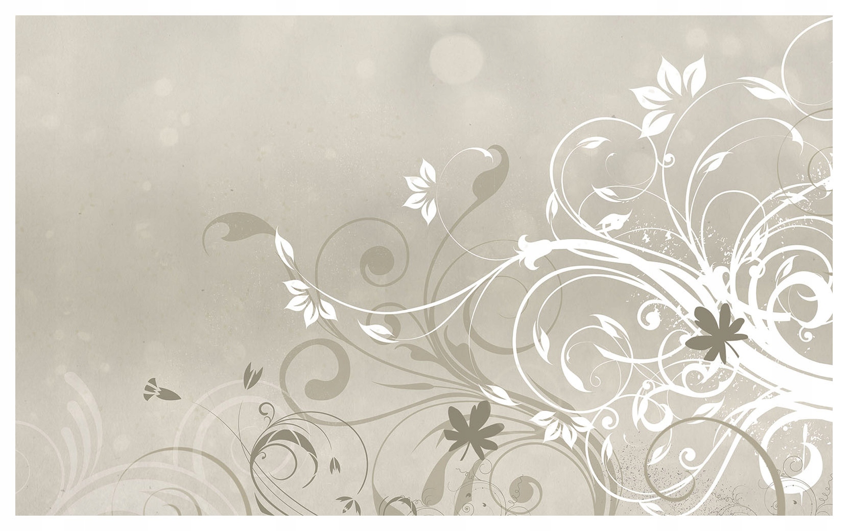 Fototapeta Květinová béžová Krémové květy Bokeh Bílá 254x184 lepidlo