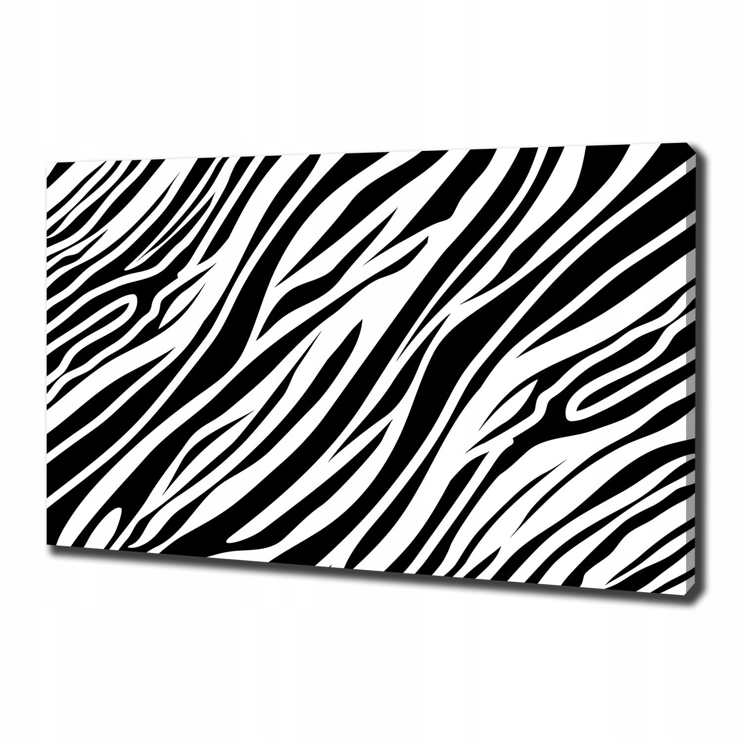 

Foto obraz canvas na ścianę Zebra tło 100x70 cm