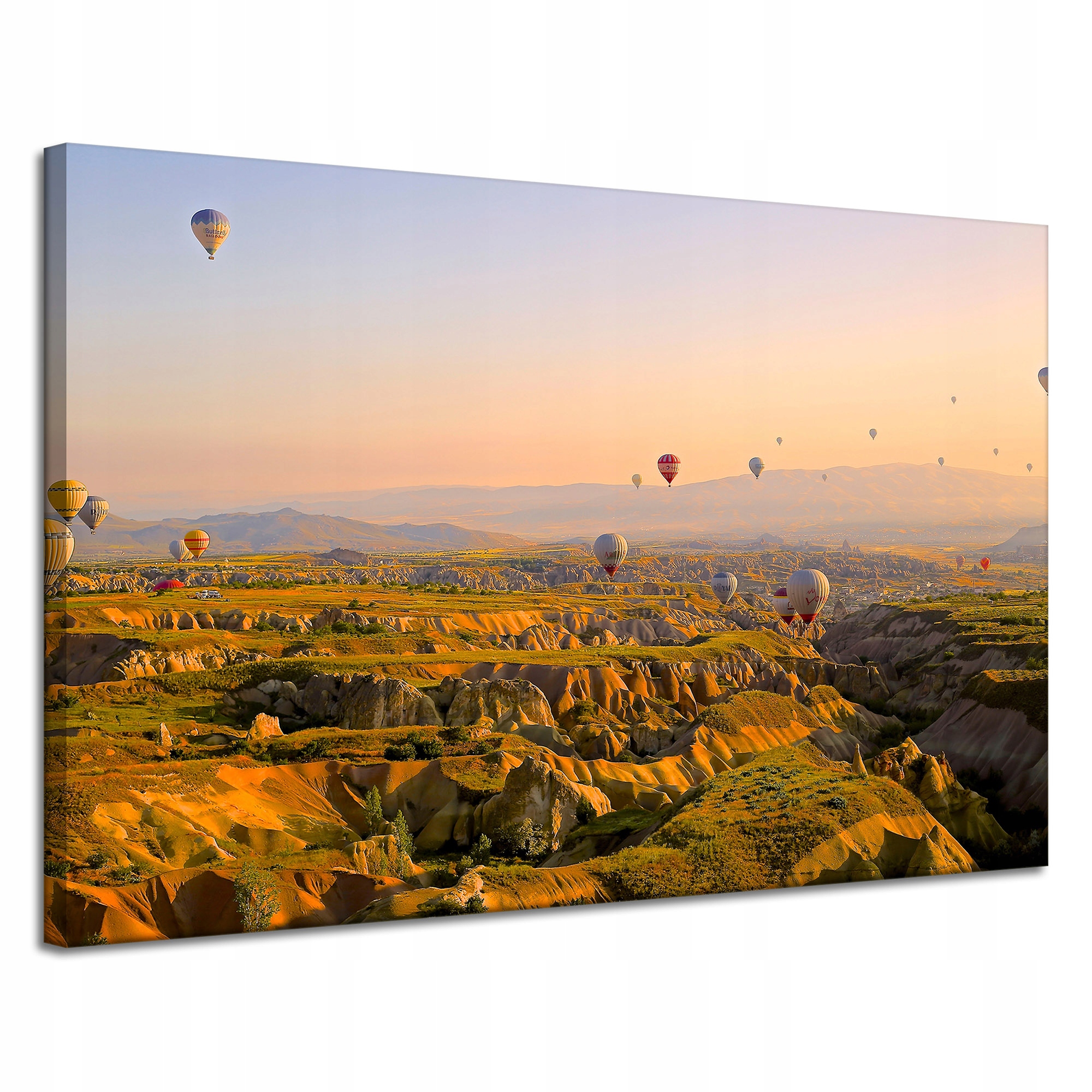 Obrazy na plátně Příroda Let balónem Kaňon 120x80