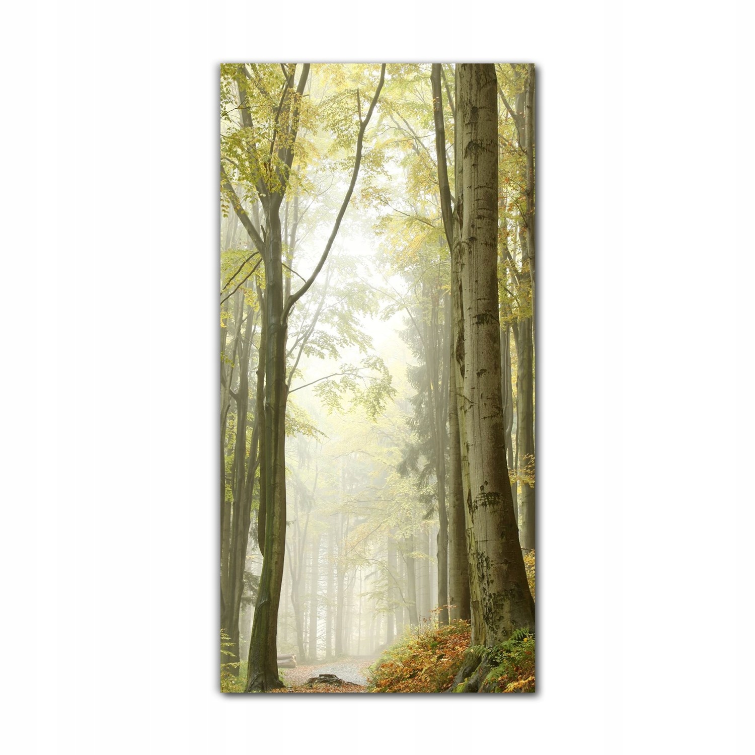 

Foto-obraz szklany do salonu 70x140 cm Mgła jesień
