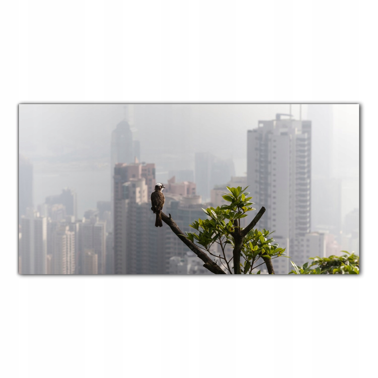 

Hartowany Obraz Szklany Hong Kong Krajobraz 120x60