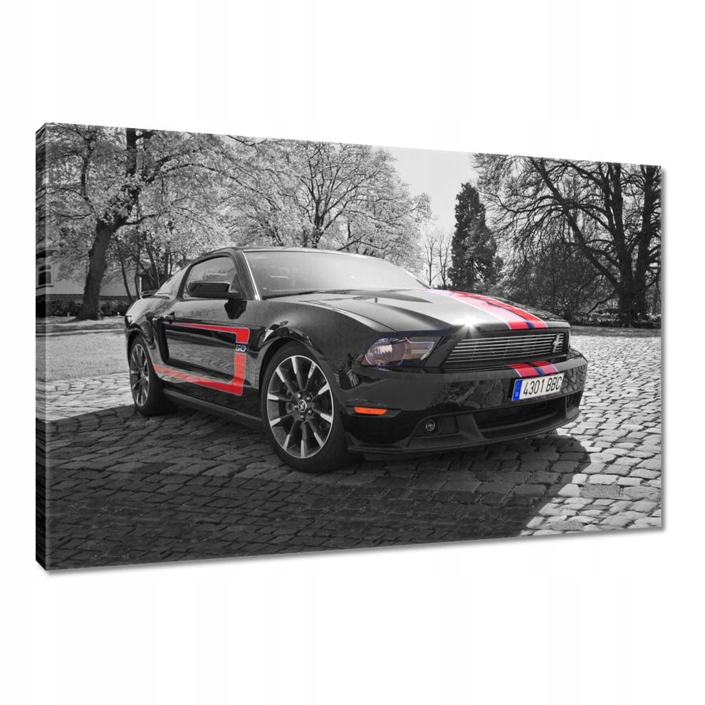 

Obrazy 90x60 Czarny Ford Mustang Usa
