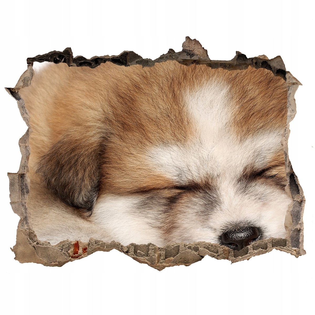 

Dziura 3d fototapeta Naklejka Szczeniak Akita