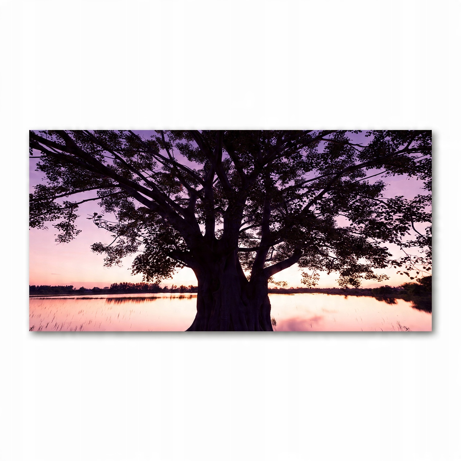 

Foto obraz szkło akryl Drzewo i jezioro 120X60 cm