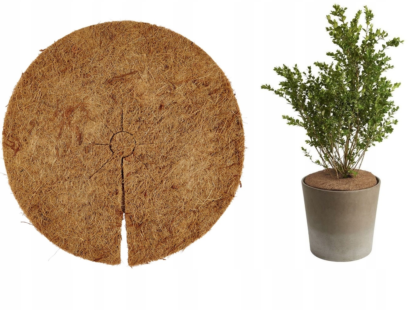 

Mata 37cm Kokosowa MrozoOdporna Okryciowa Parkside