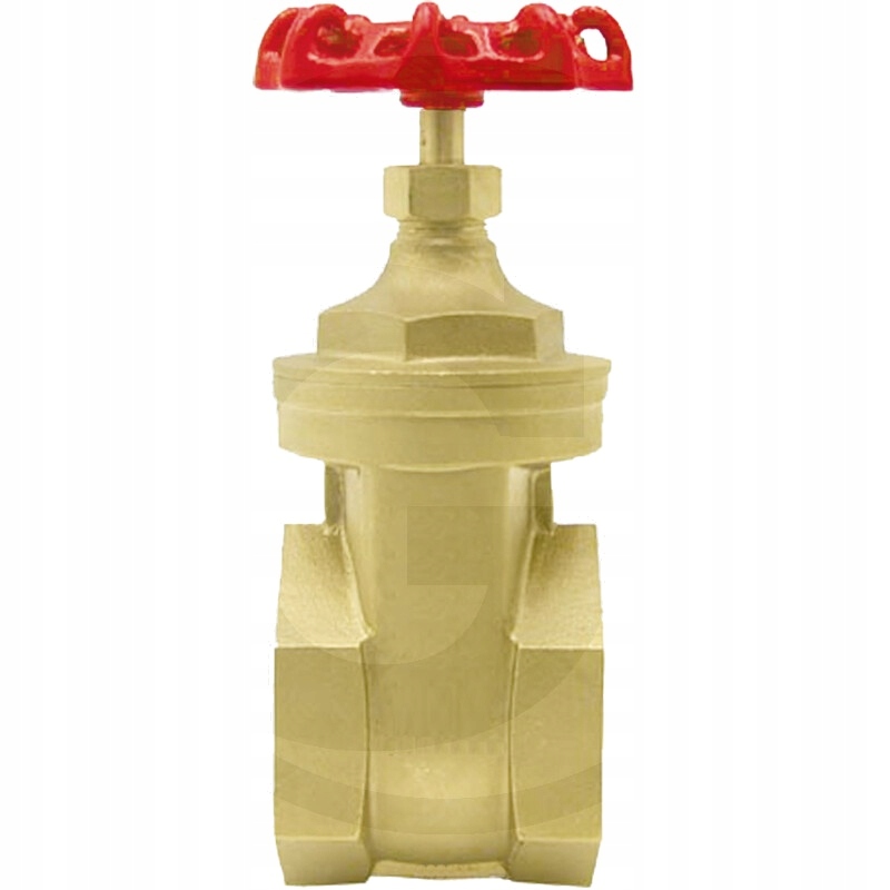 Złączka z zaworem zasuwowym 2 1/2", 10 bar, 220mm,