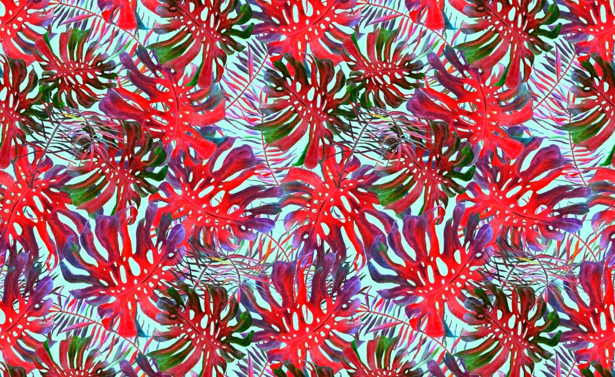 

Fototapeta Flizelinowa Monstera dziurawa 416x254