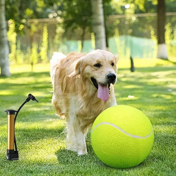 Levně Velký míček míč nafukovací pro psa 24 cm