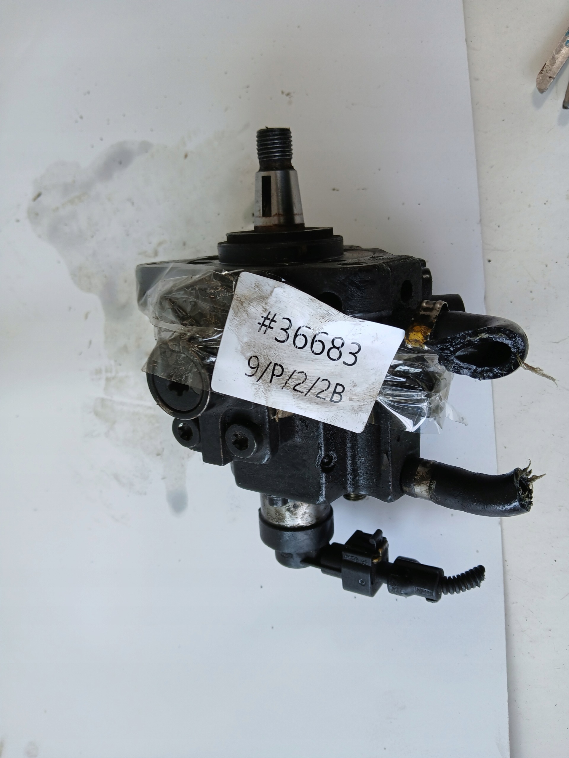OPEL VECTRA C ZAFIRA B 1.9 CDTI Einspritzpumpe 0055204599