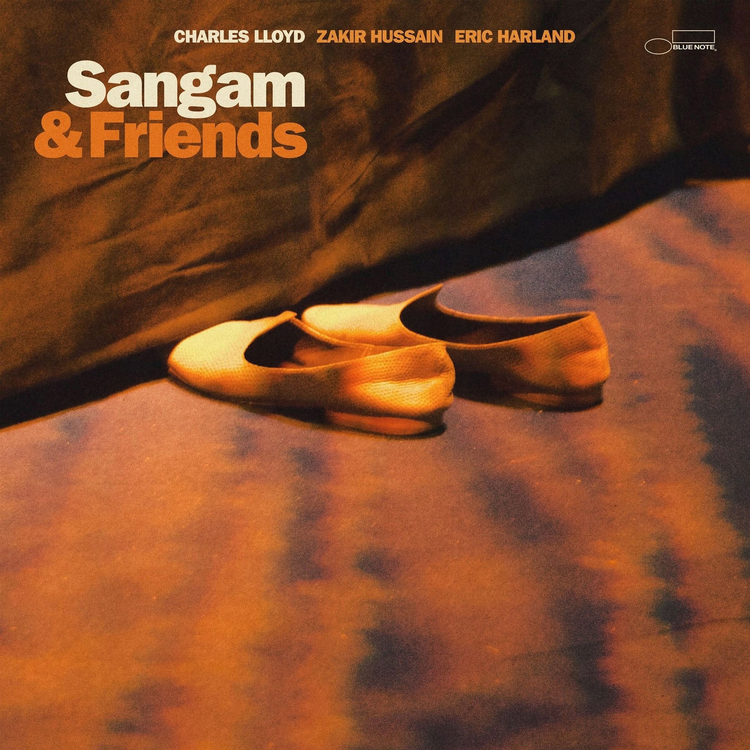 Lloyd Charles Sangam And Friends (lp) Winyl