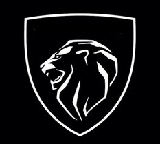 DODATEK DO PALIWA PSA 1611332880