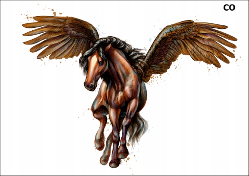 

PK16CO Tatuaż tymczasowy Pegaz koń ze skrzydłami