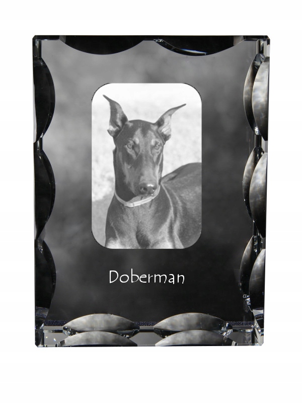 Doberman fotografia psa v ozdobnom kryštáli, suvenír, dekorácia domu