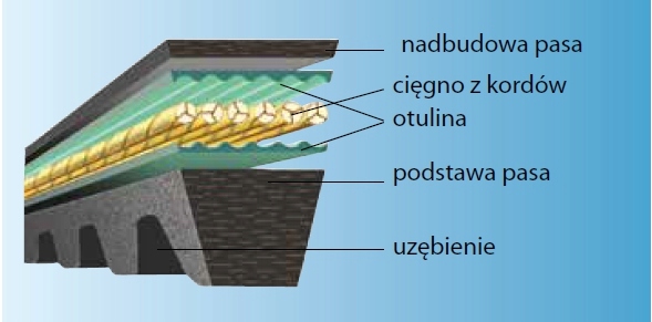 PAS KLINOWY ZĘBATY PASEK OPTIBELT AX/X13 x 880 Producent części Optibelt