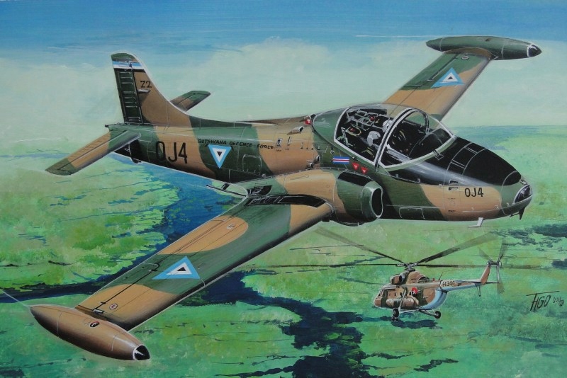 Bac 167 Strikemaster Jet Provost T.5/T.5A fly48016