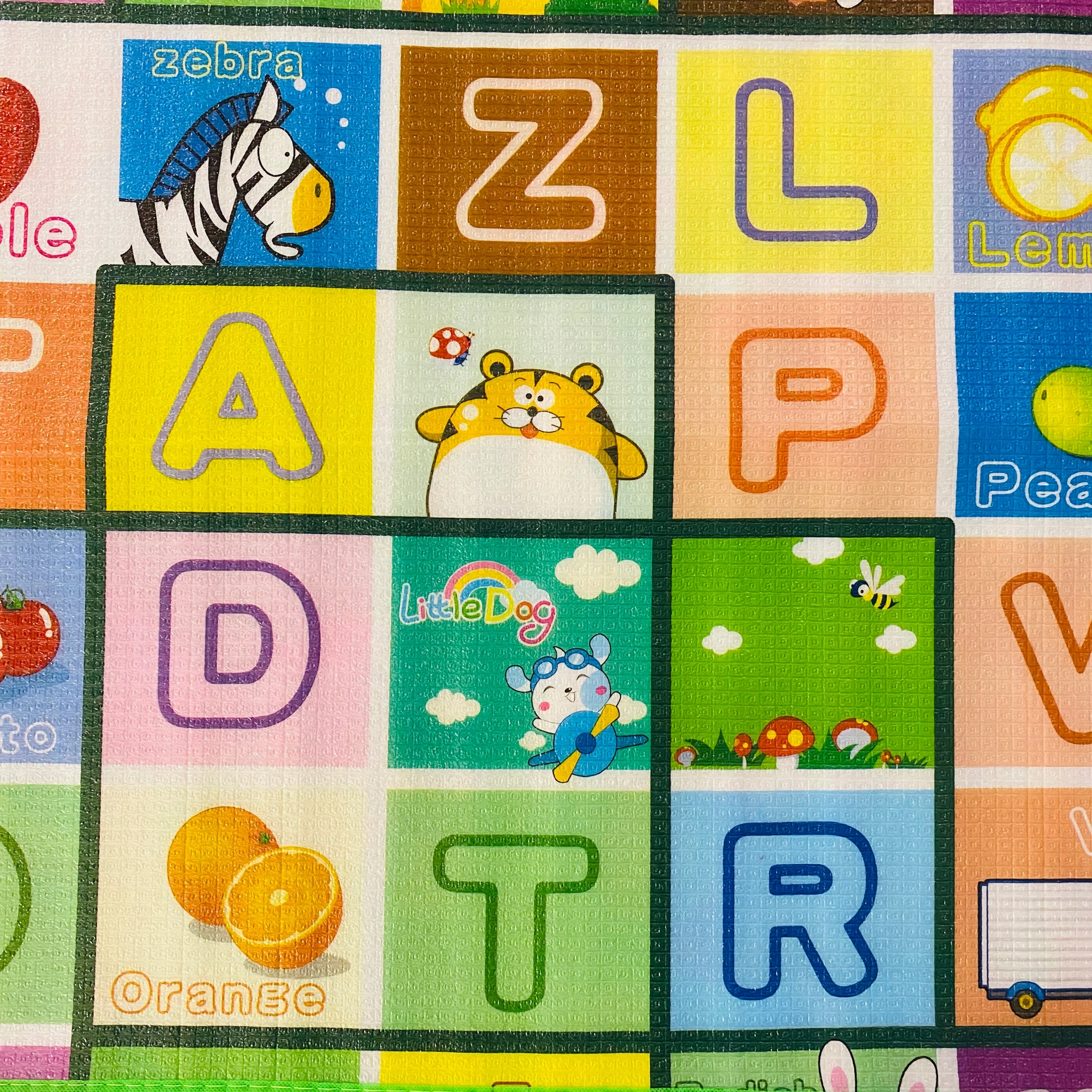 DUŻA PIANKOWA EDUKACYJNA MATA DYWAN 180x180cm Rodzaj dywaniki