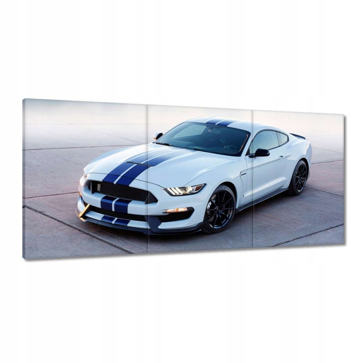 Obrazy 210x100 Ford Mustang Shelby