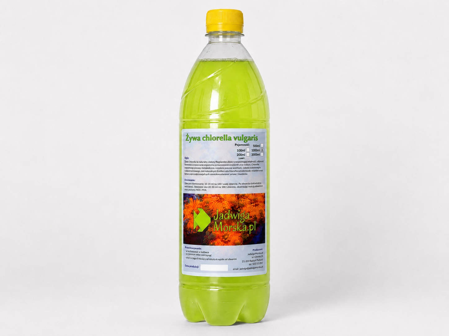 Chlorella vulgaris 1L (żywa kultura)