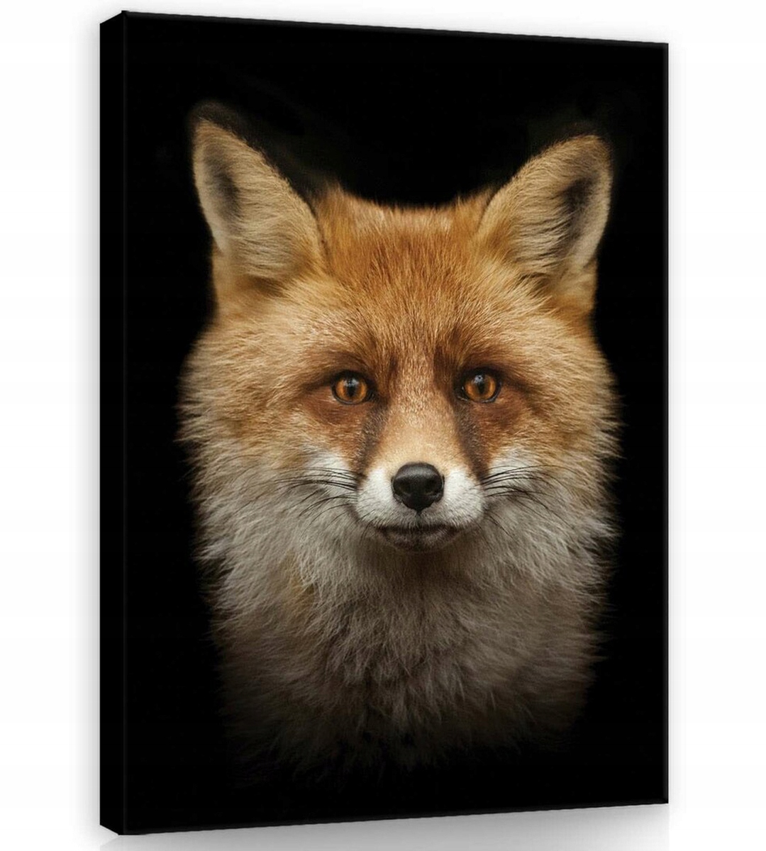 Obraz Na Plátně Canvas 75x100 Rudy Lis Portrét