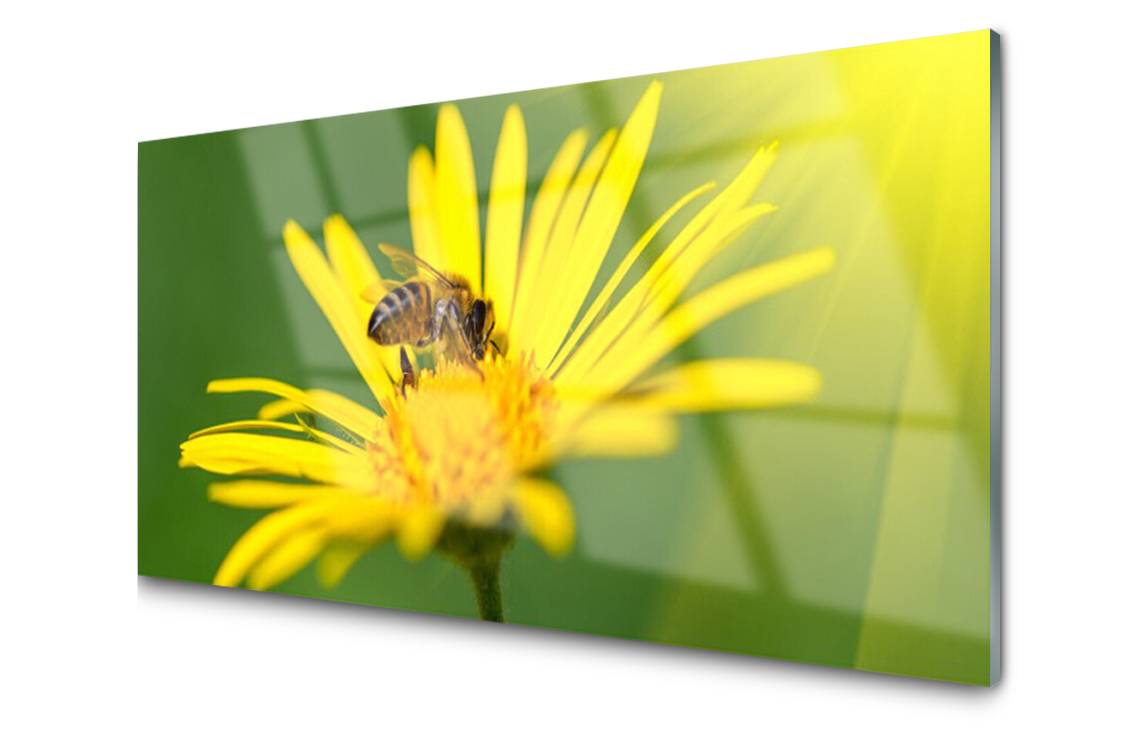 Sklenený panel Včelí kvet 100x50