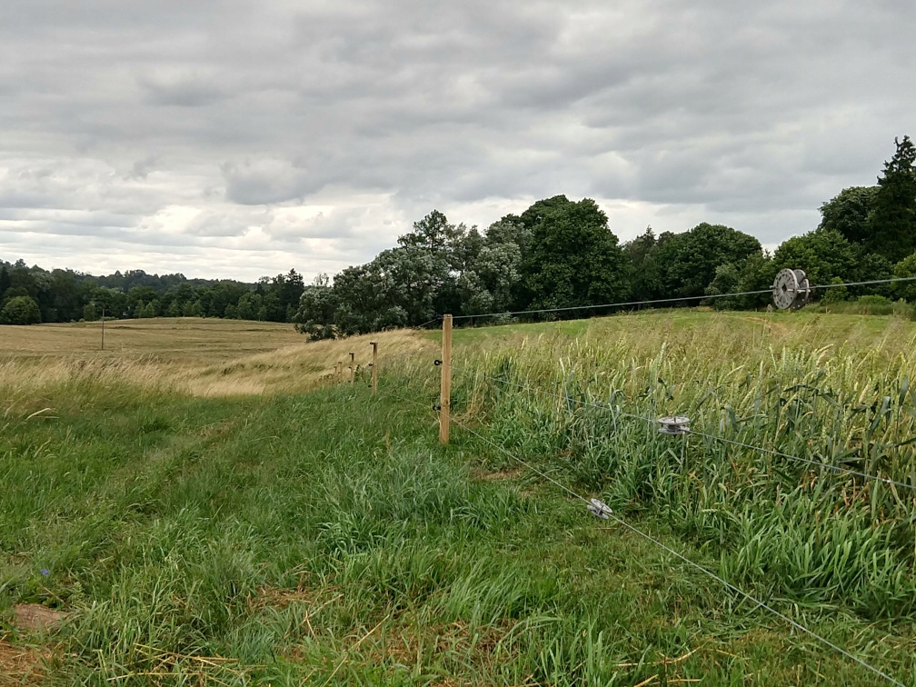 Izolatory do pastucha elektrycznego do drewna 100szt elektryzator drut Rodzaj okrągły