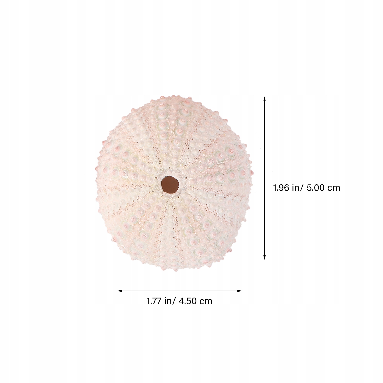 Pojemnik DIY na Rośliny - Muszle Morskie z Ananasem Marka bez marki