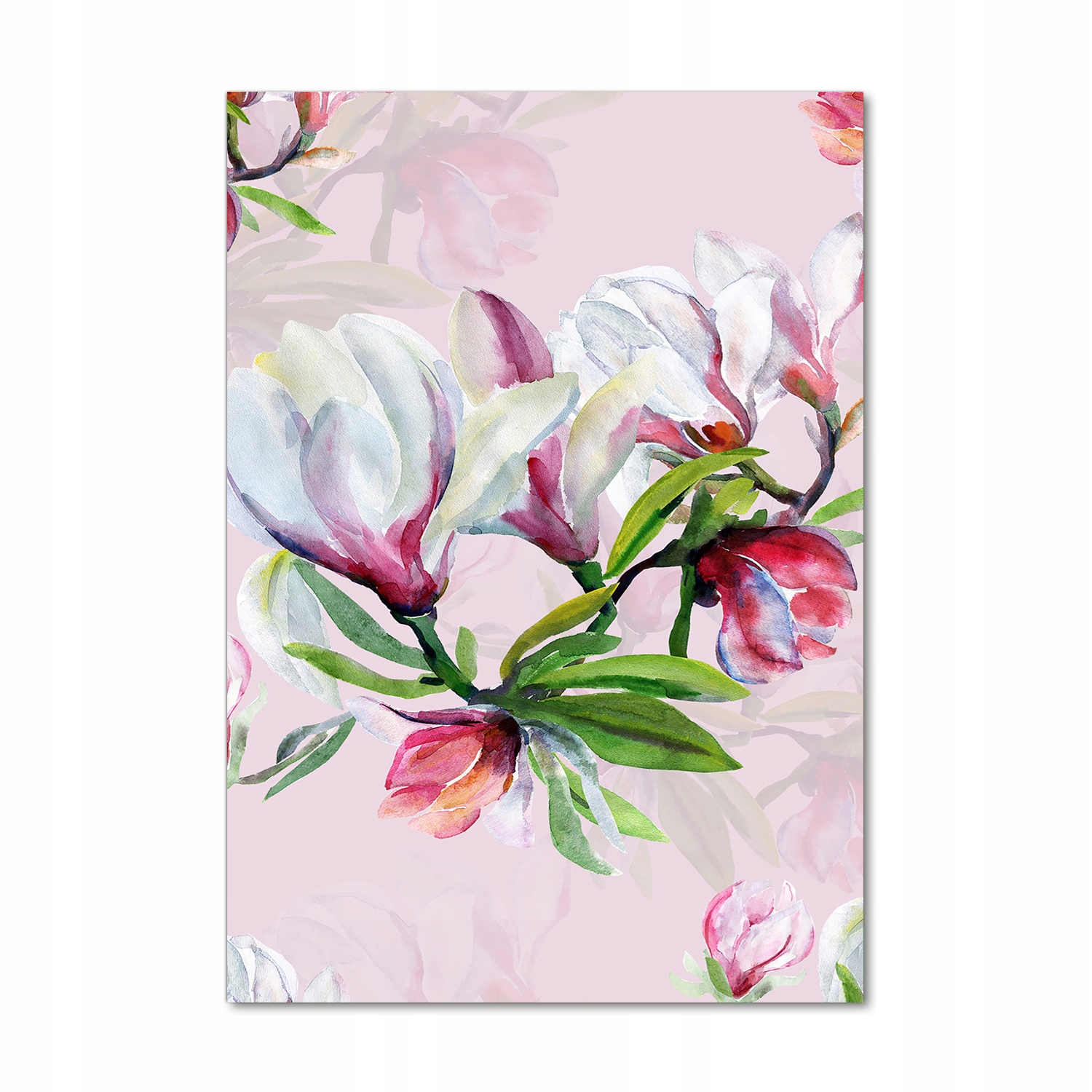 

Foto obraz akrylowy na ścianę Magnolia 70x100 cm