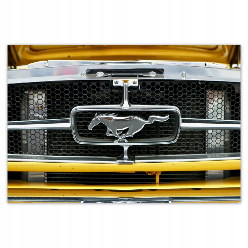 

Naklejki 185x125 Znak Ford Mustang