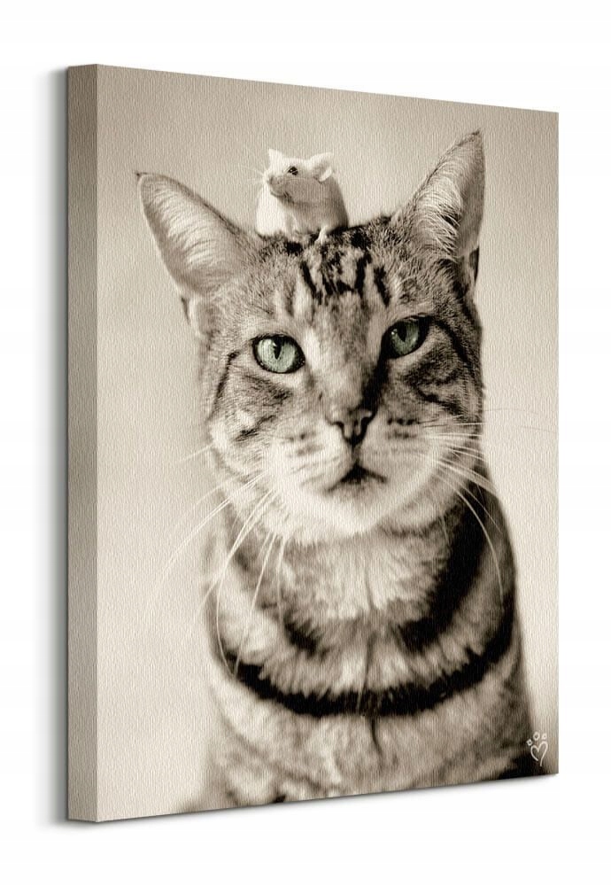 Obraz na plátně Kočka s myškou Cat Mouse 40x50 cm