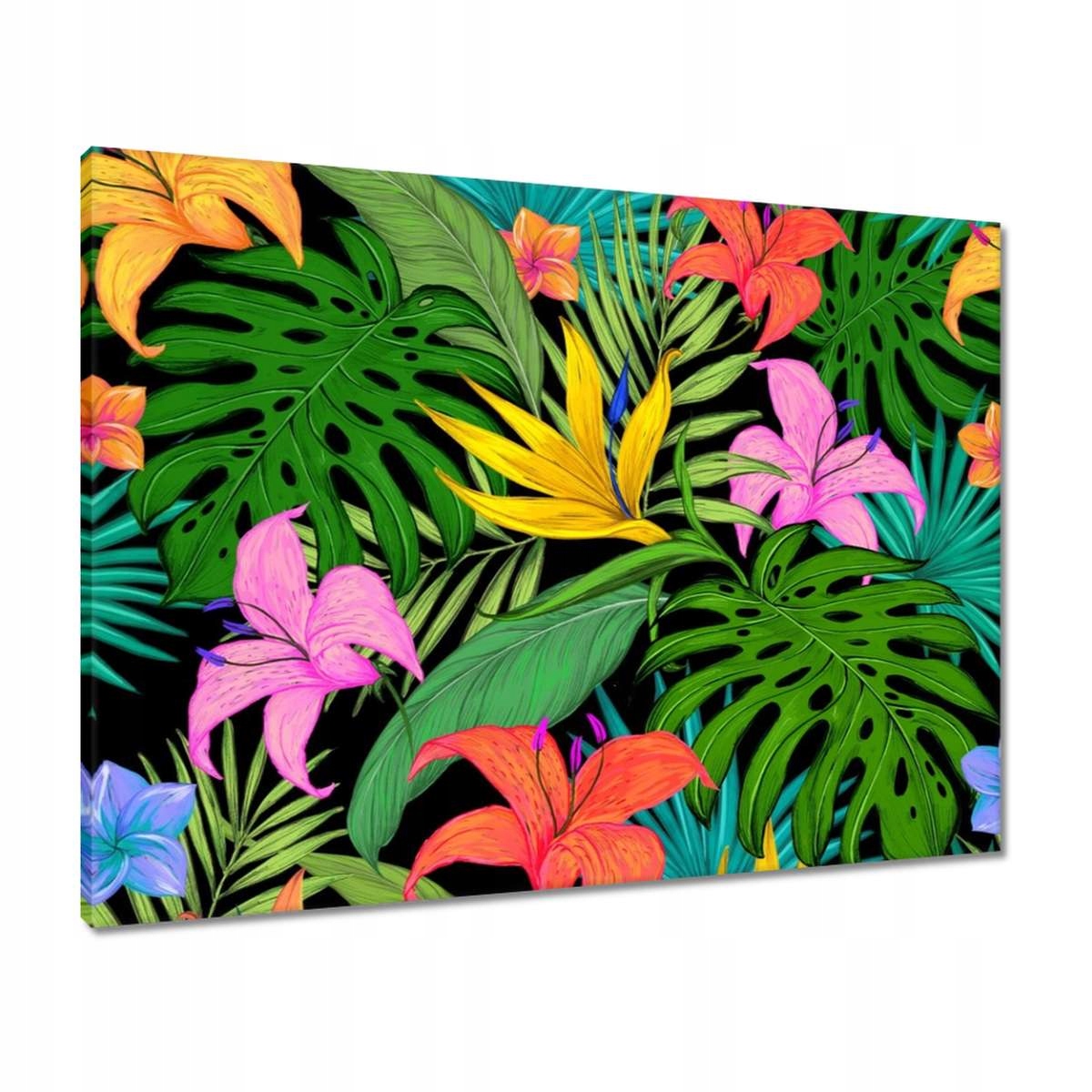 Obrazy 80x60 Listy Monstery Listy