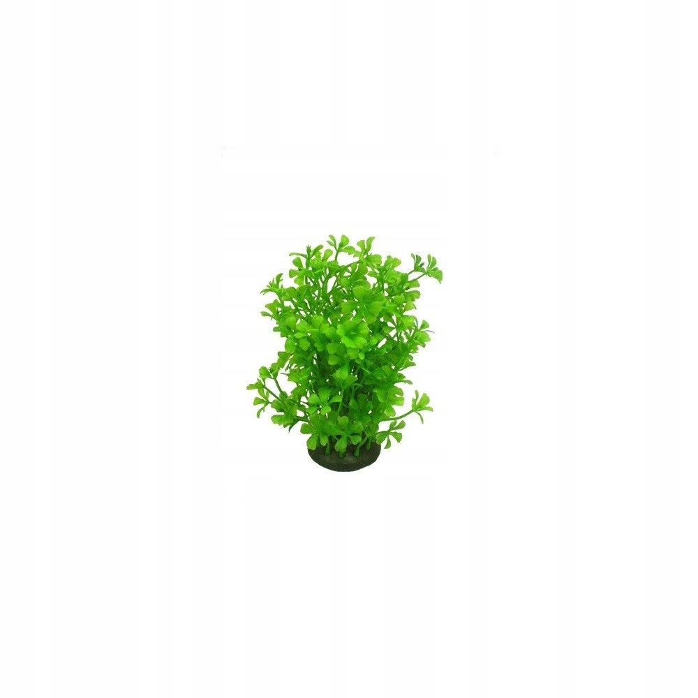 

Aquael Roślina Kępkowa CP-057 6 (15cm)