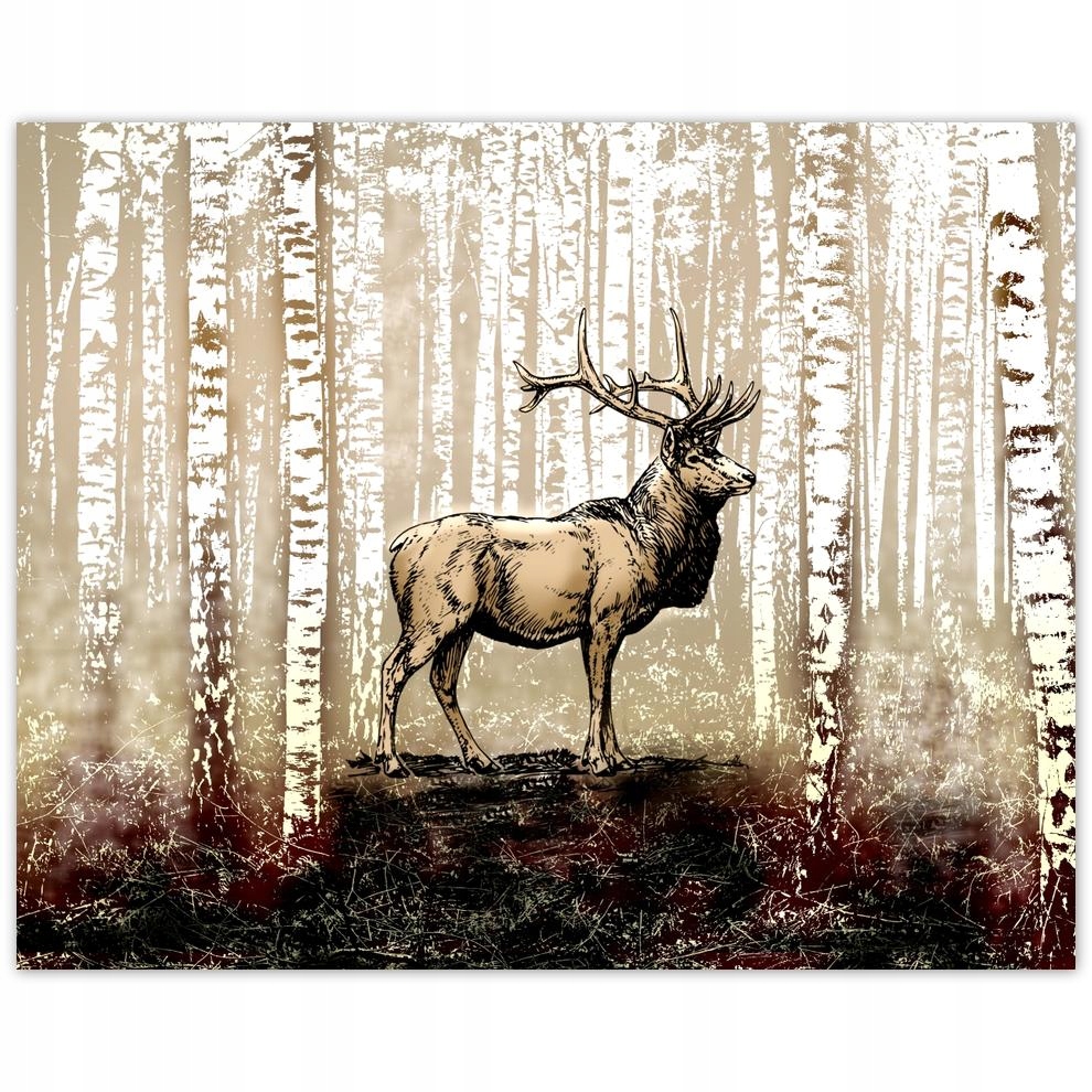 

Plakat 50x40 Jeleń Brzoza Brzozy Las