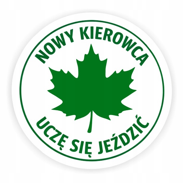 Naklejka Zielony Listek Na Samochód Auto Szyba Kierowca Nowy 10x10cm A269