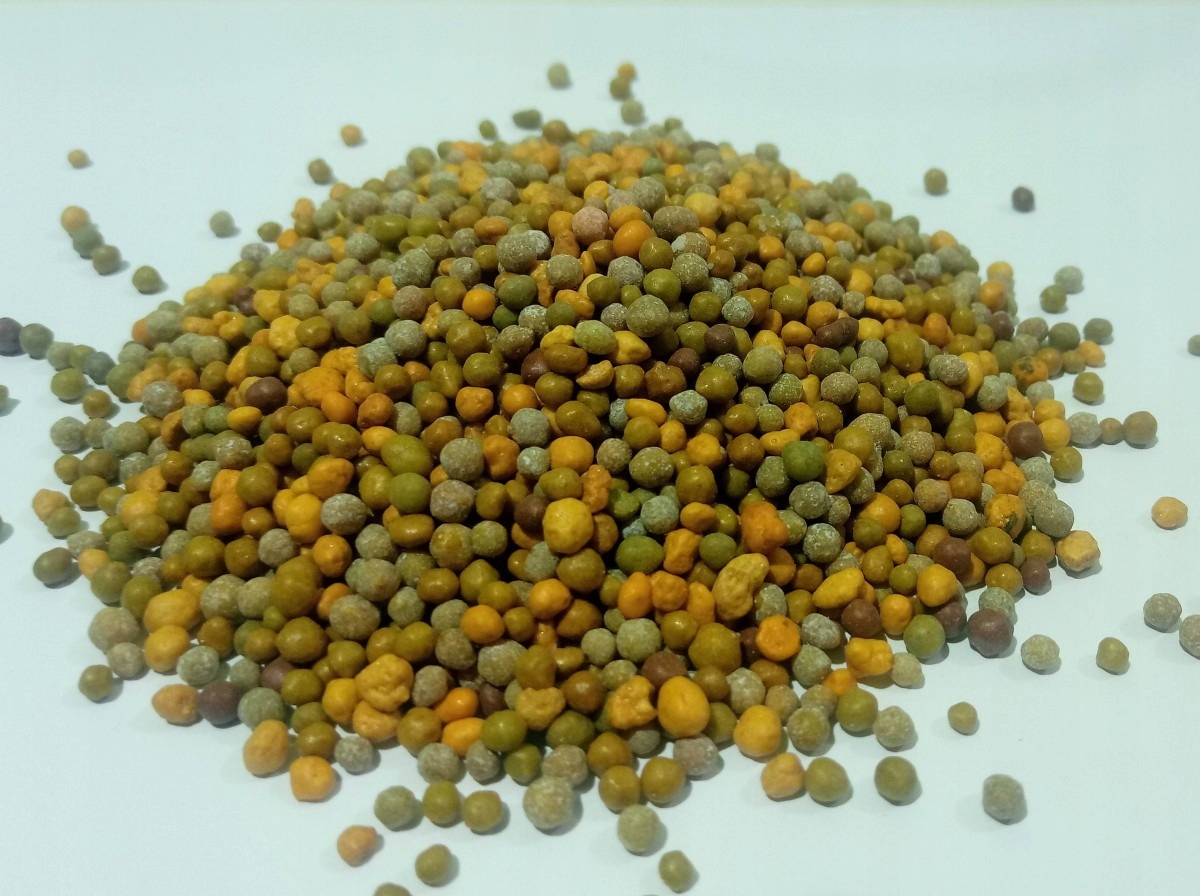 

Nawóz Exact 1kg Osmocote High K 5-6 msc