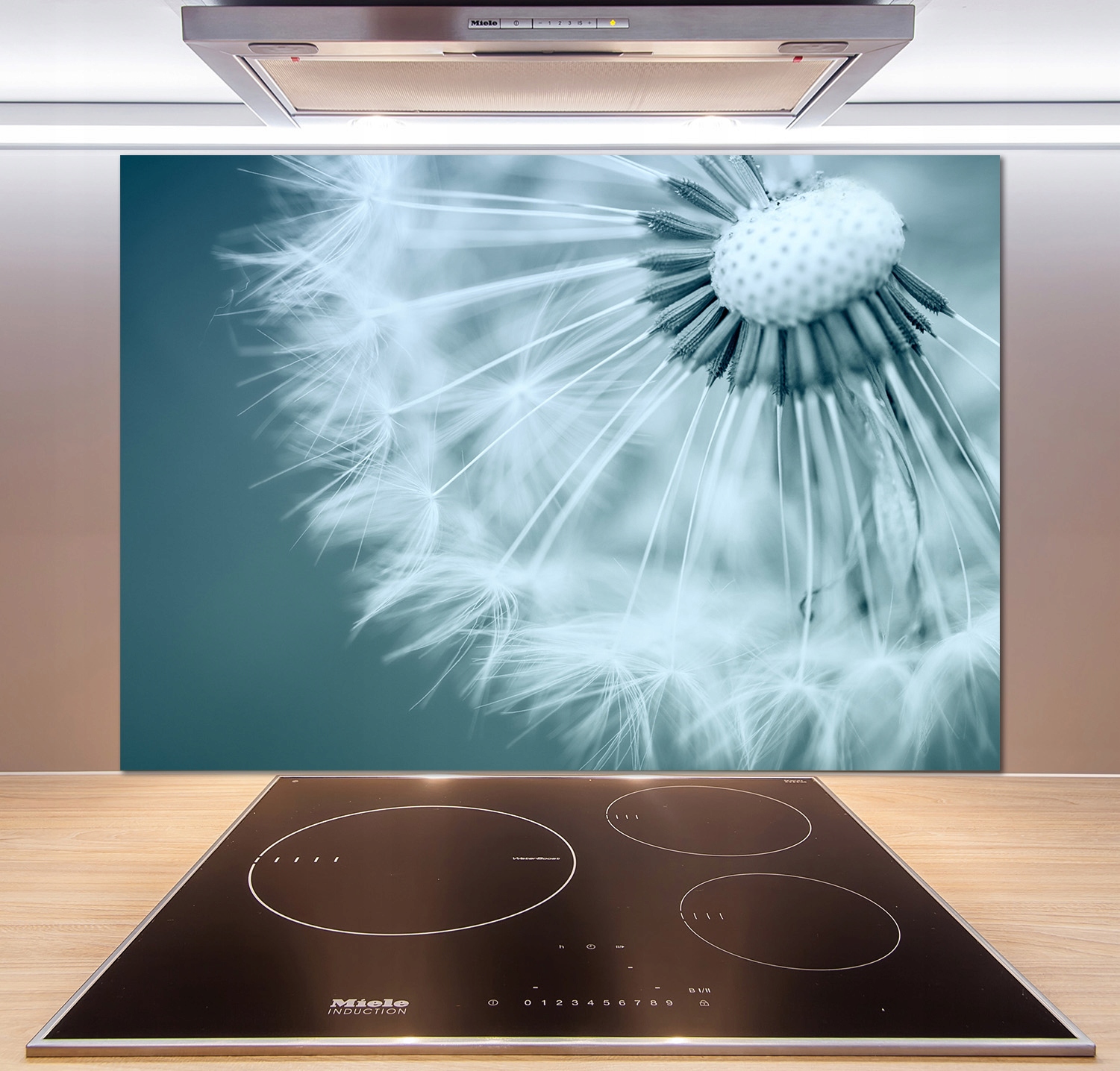 

Panel dekor szkło Dmuchawiec 100x70 cm + Klej
