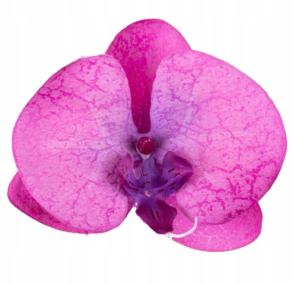 

Storczyk orchidea główka kwiatowa fuksja