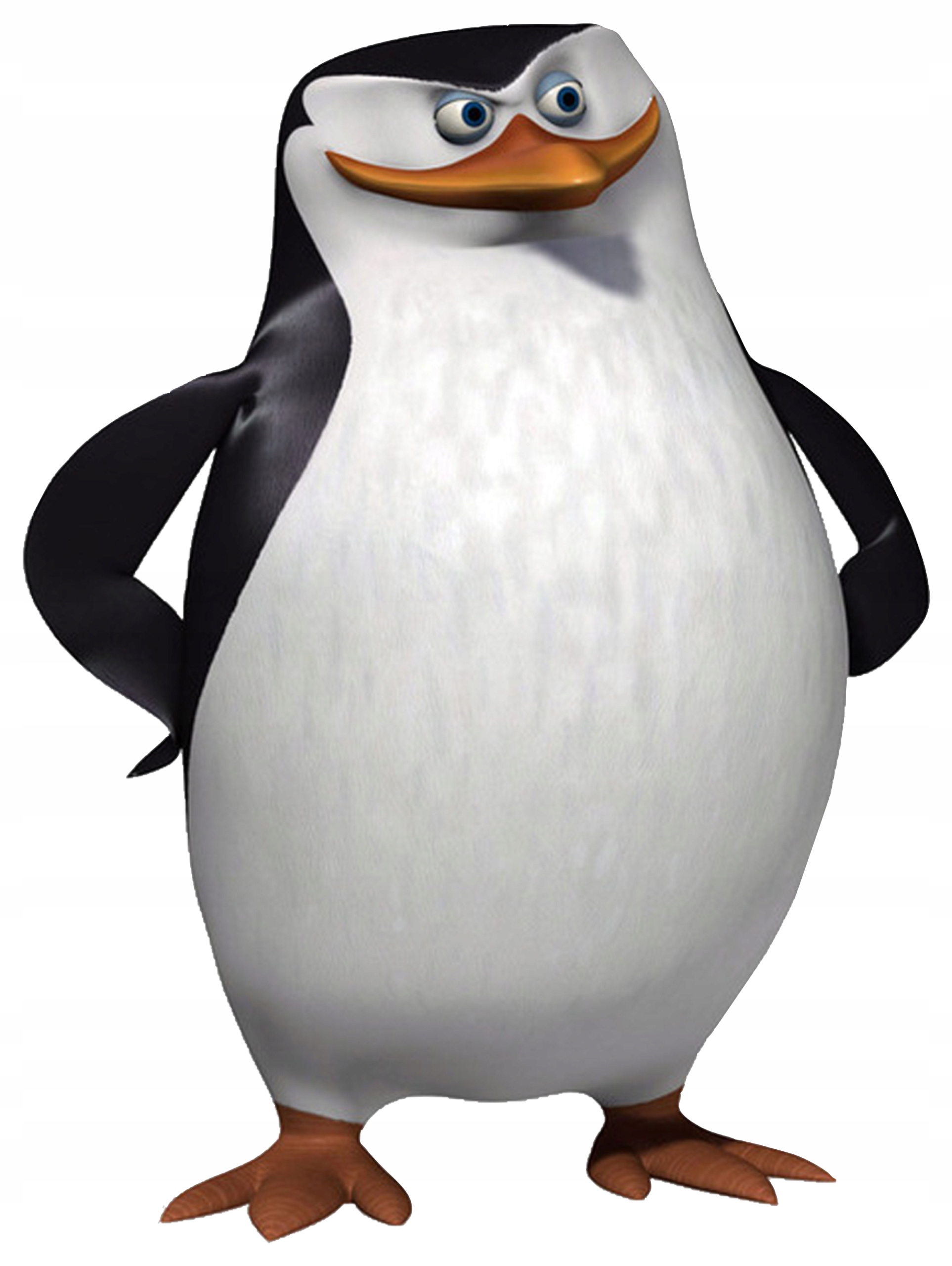 

Naklejki Na Okno Lustro Pingwiny Z Madagarskaru